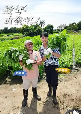 周末不打烊综艺手机免费观看